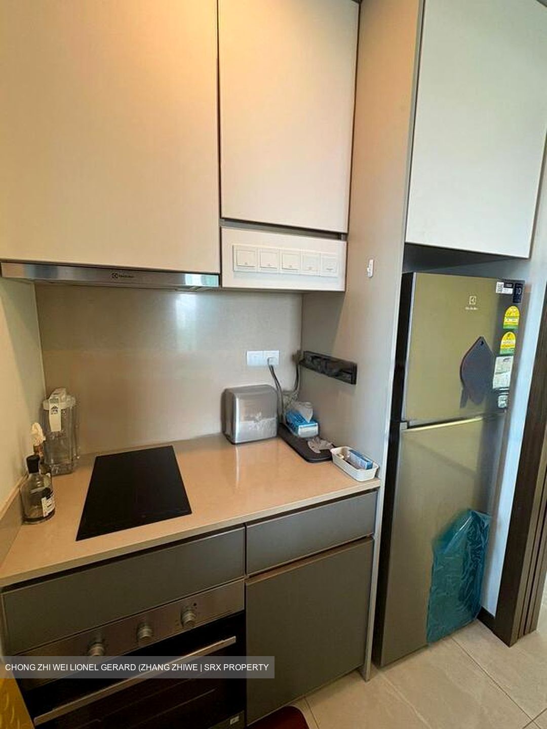Normanton Park (D5), Apartment #467338941
